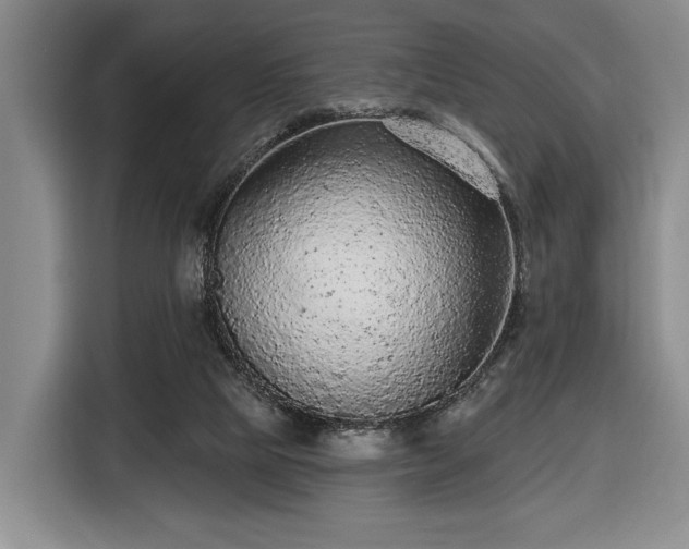 X0000116430065200912151026