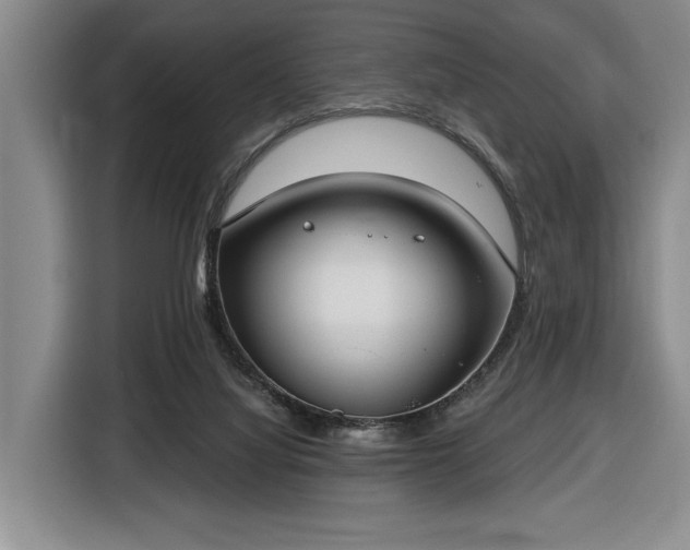 X0000116430068200912151026