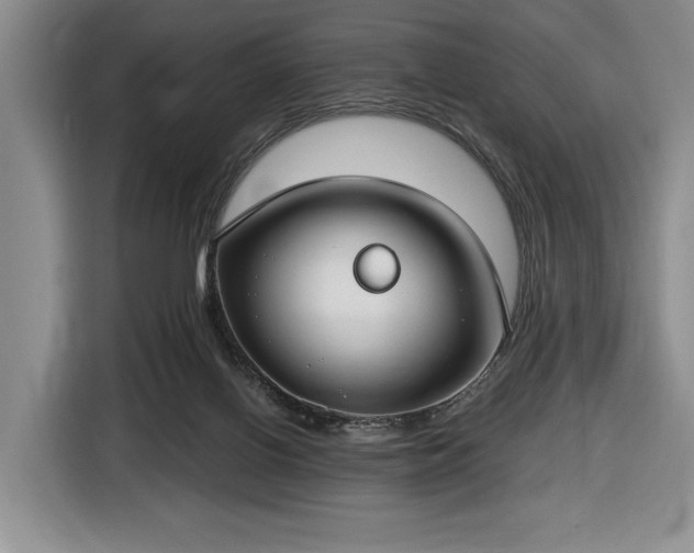 X0000116430070200912151026