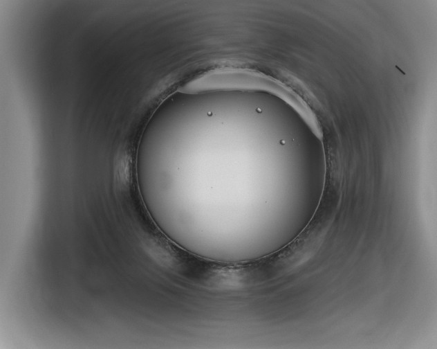 X0000116430071200912151026