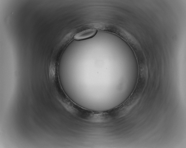 X0000116430072200912151026