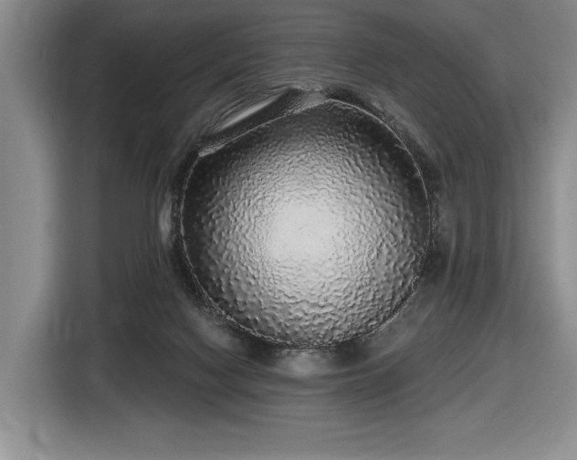 X0000116430074200912151026