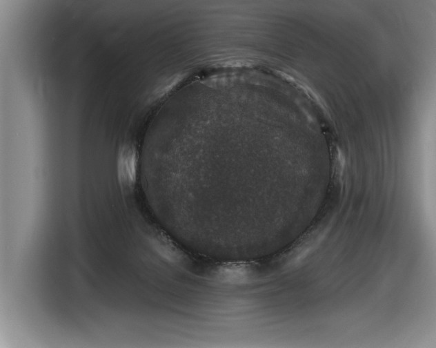 X0000116430076200912151027