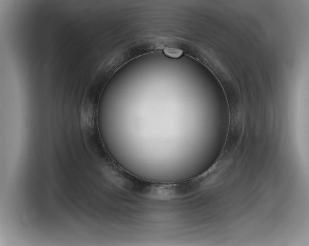 X0000116430078200912151027