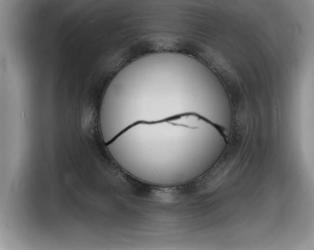X0000116430079200912151027