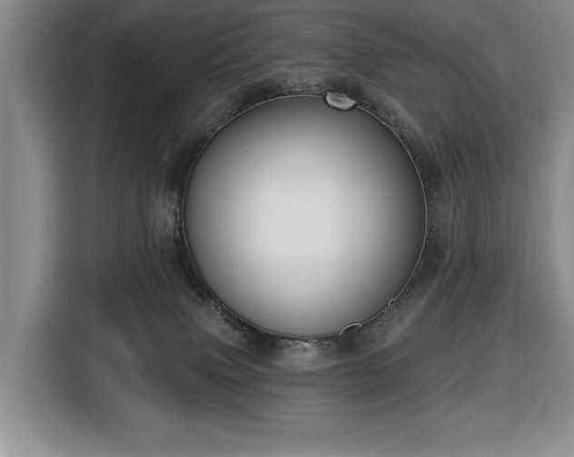 X0000116430083200912151027