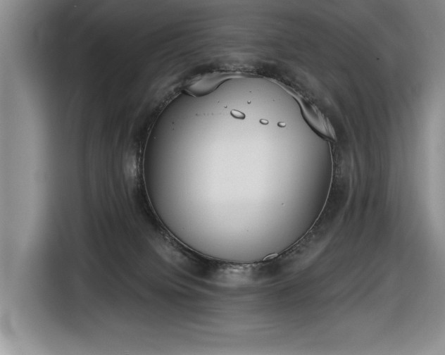 X0000116430084200912151027