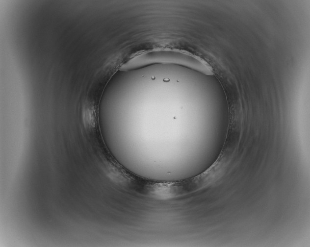 X0000116430090200912151027