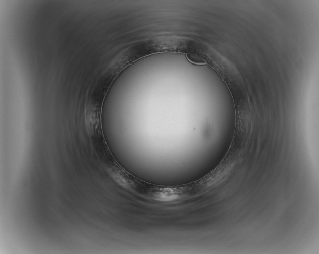 X0000116430091200912151027