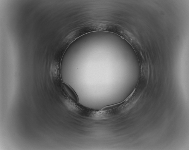 X0000116430092200912151027