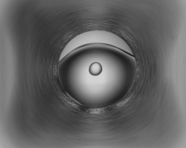 X0000116430096200912151027