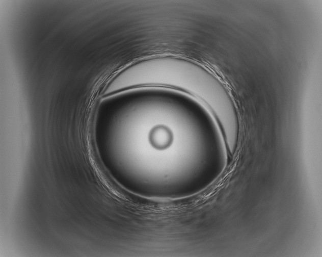 X0000116430097200912151026