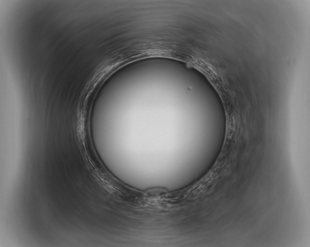 X0000116430098200912151026