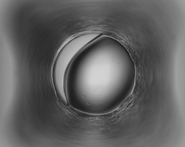 X0000116430100200912151026