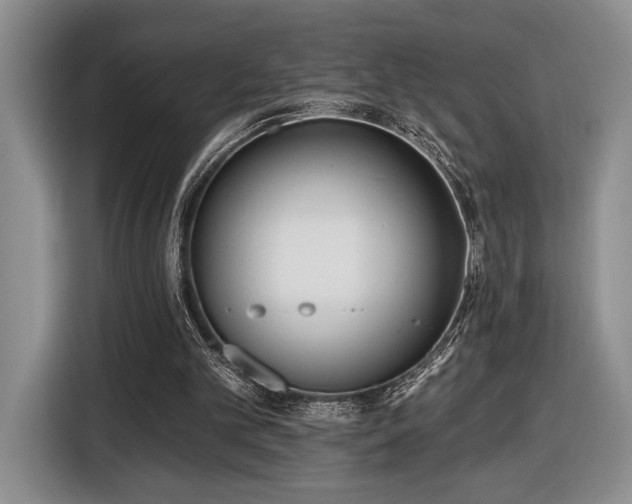X0000116430101200912151026