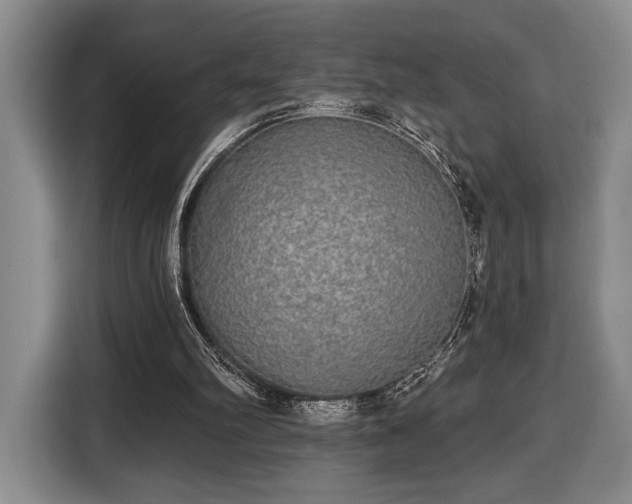 X0000116430102200912151026