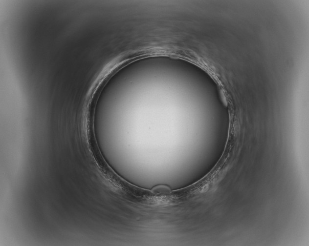 X0000116430103200912151026