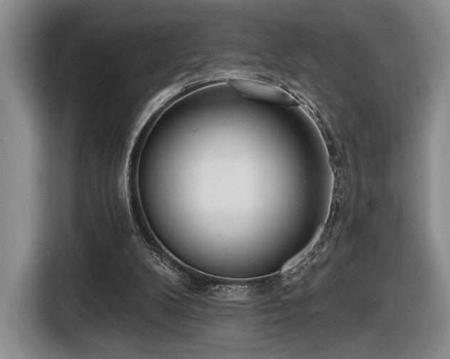 X0000116430104200912151026