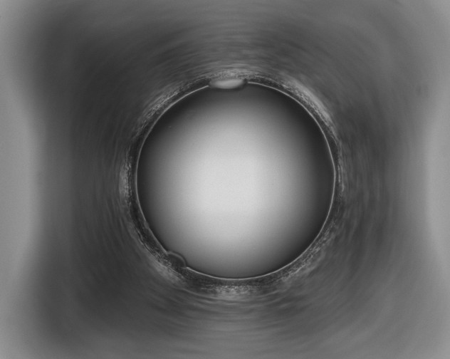 X0000116430105200912151026