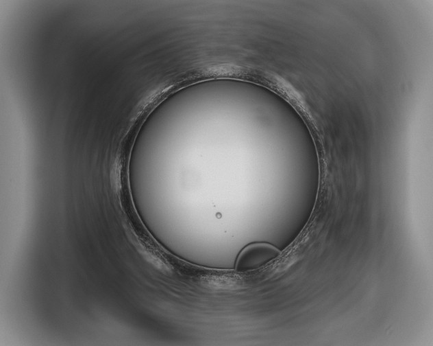 X0000116430106200912151026
