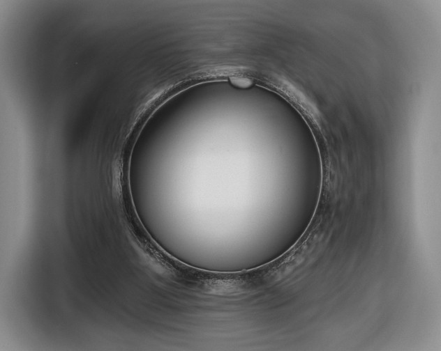 X0000116430107200912151026