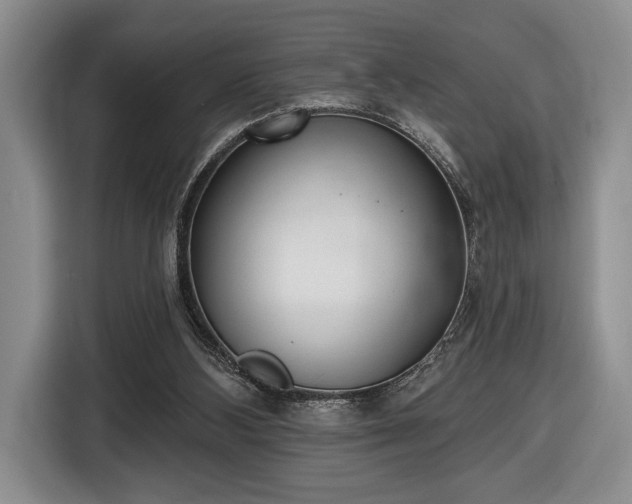 X0000116430108200912151026