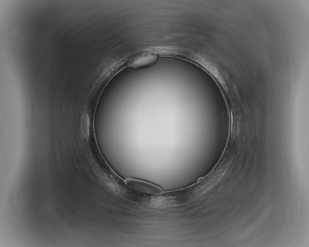 X0000116430109200912151026