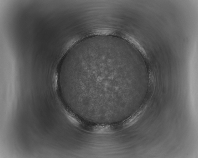 X0000116430110200912151026