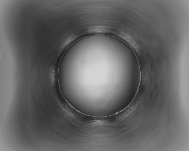 X0000116430111200912151026