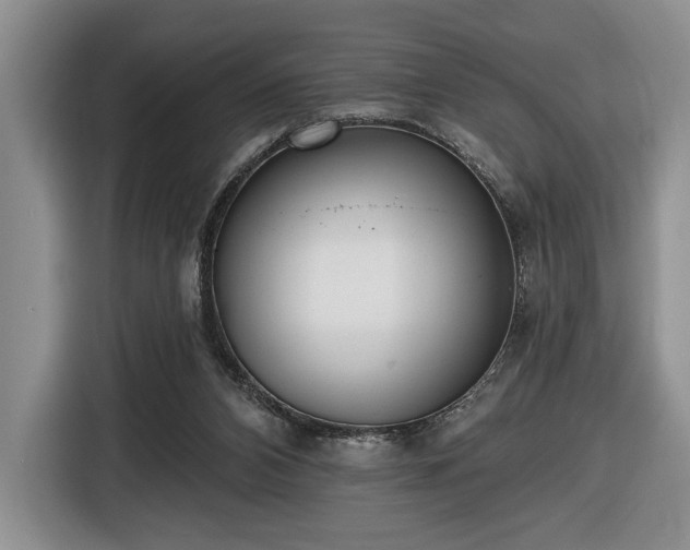 X0000116430112200912151026