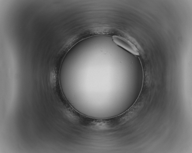 X0000116430113200912151026