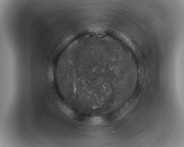 X0000116430114200912151026