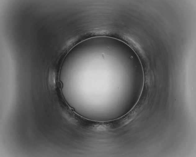 X0000116430115200912151026