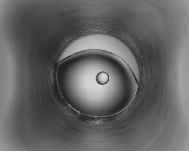 X0000116430116200912151026