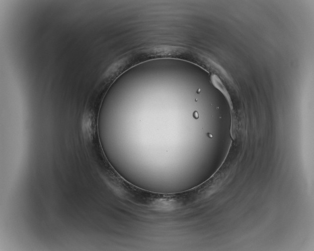 X0000116430119200912151026