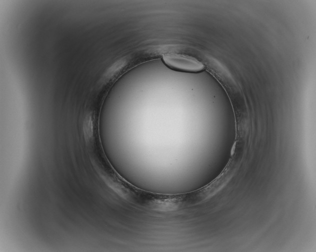 X0000116430120200912151026