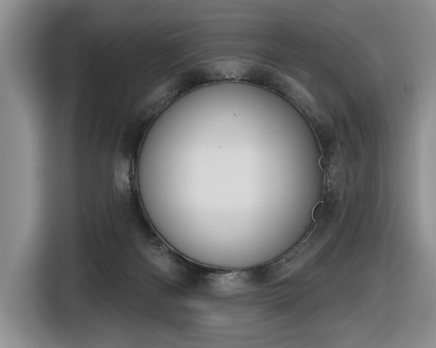 X0000116430122200912151026