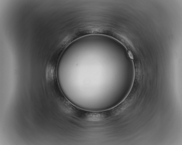 X0000116430123200912151026