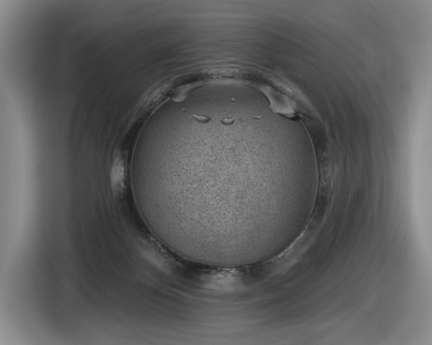 X0000116430124200912151026