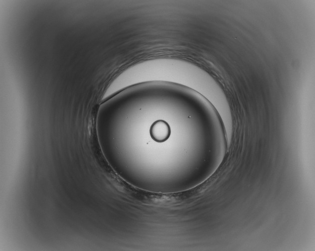 X0000116430125200912151026