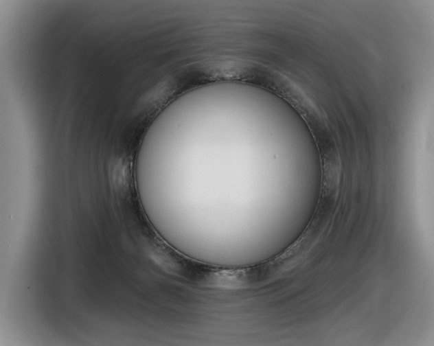 X0000116430126200912151026