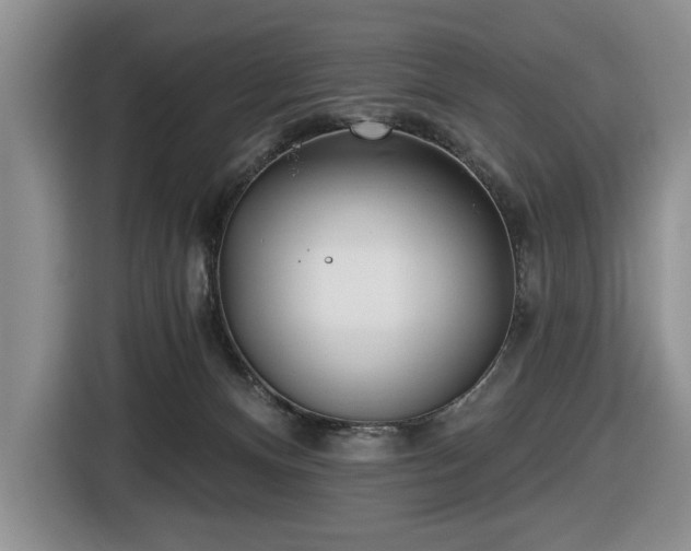 X0000116430128200912151026