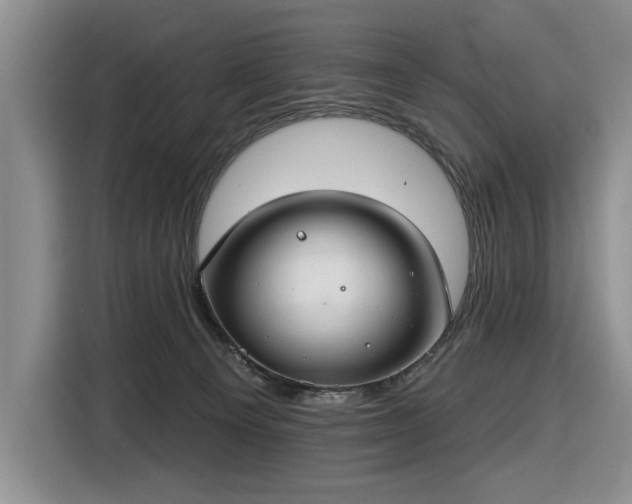 X0000116430129200912151026