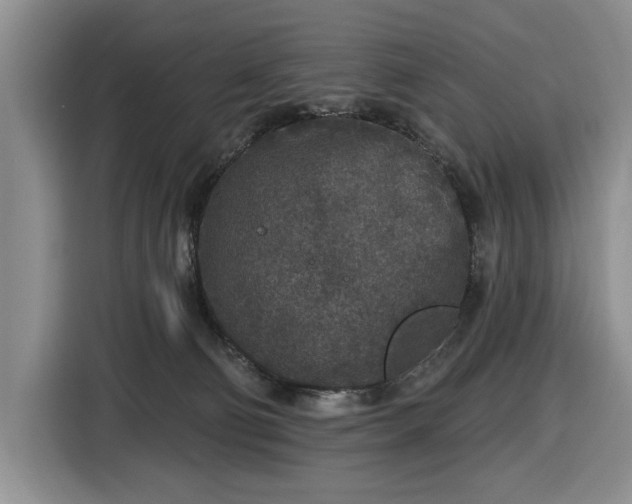 X0000116430130200912151026