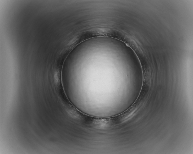 X0000116430131200912151026