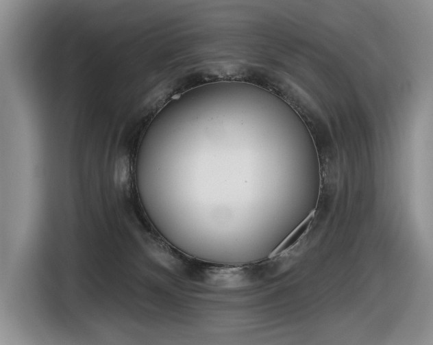 X0000116430132200912151026