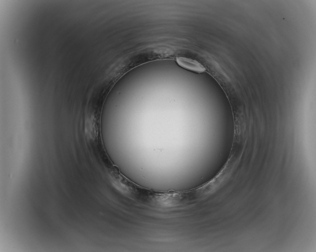 X0000116430136200912151026