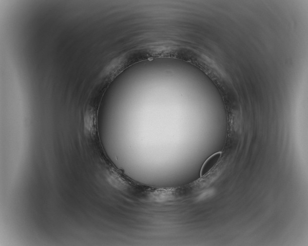 X0000116430138200912151026