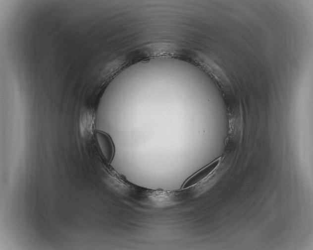 X0000116430142200912151026