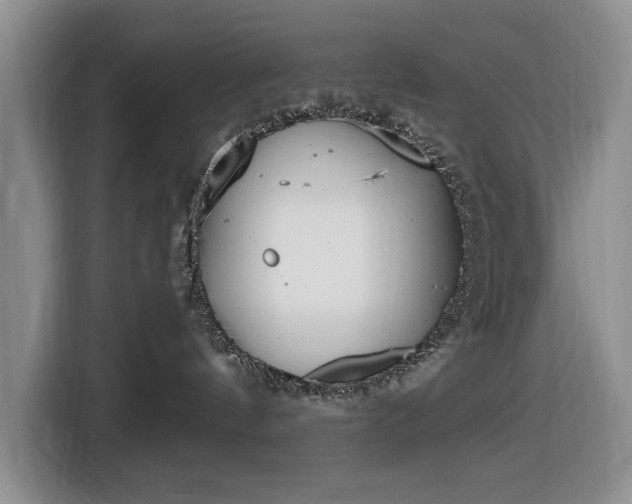 X0000116430144200912151026